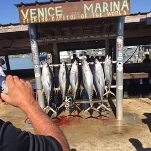 Meet your Posher, Dale